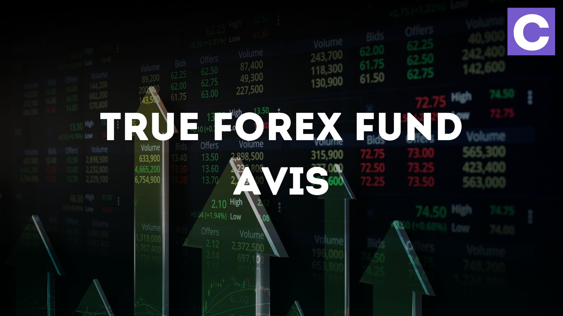 true forex fund